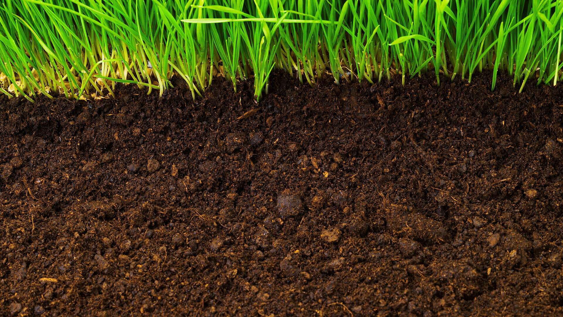 Soil profile