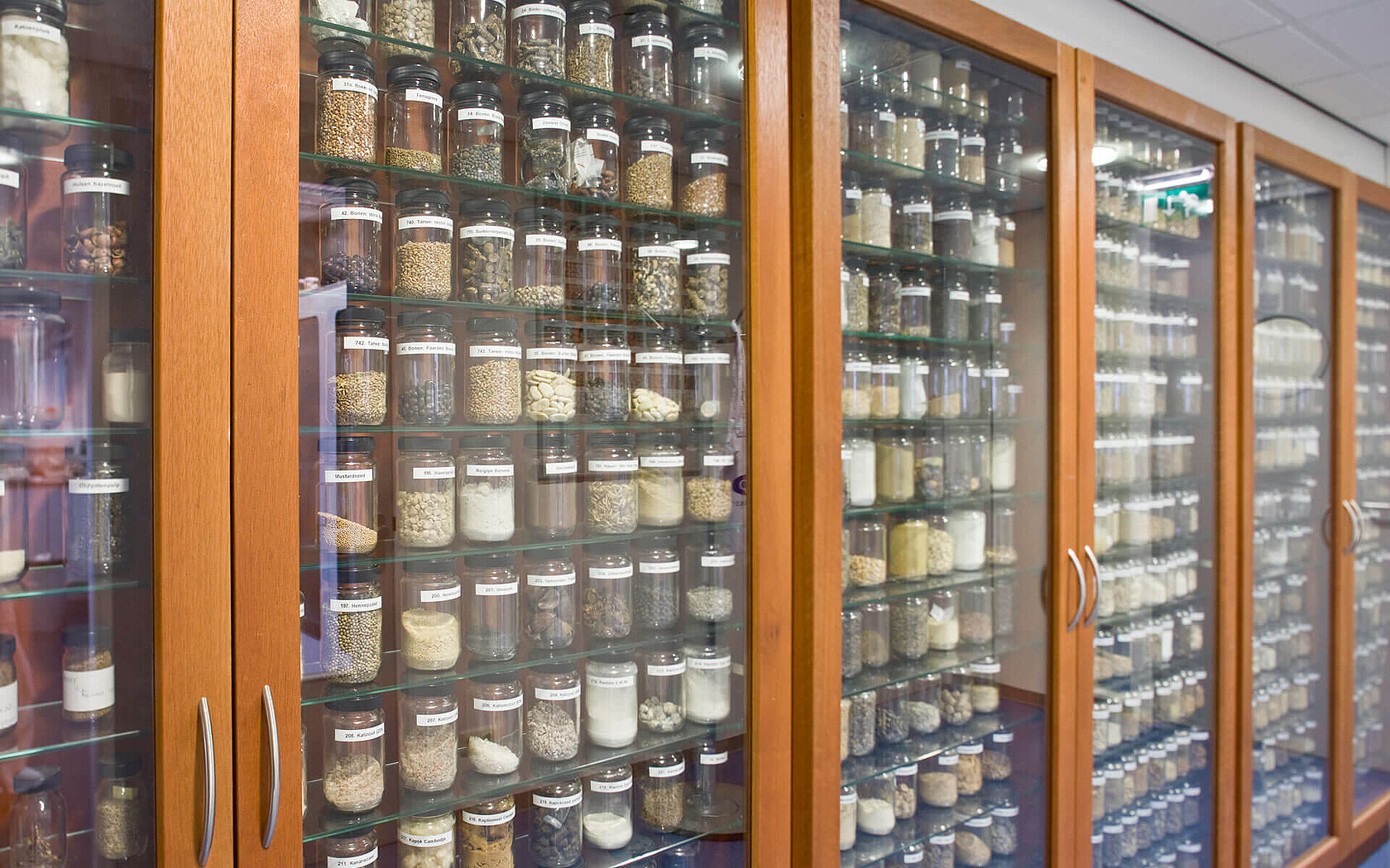 Cabinet of samples 