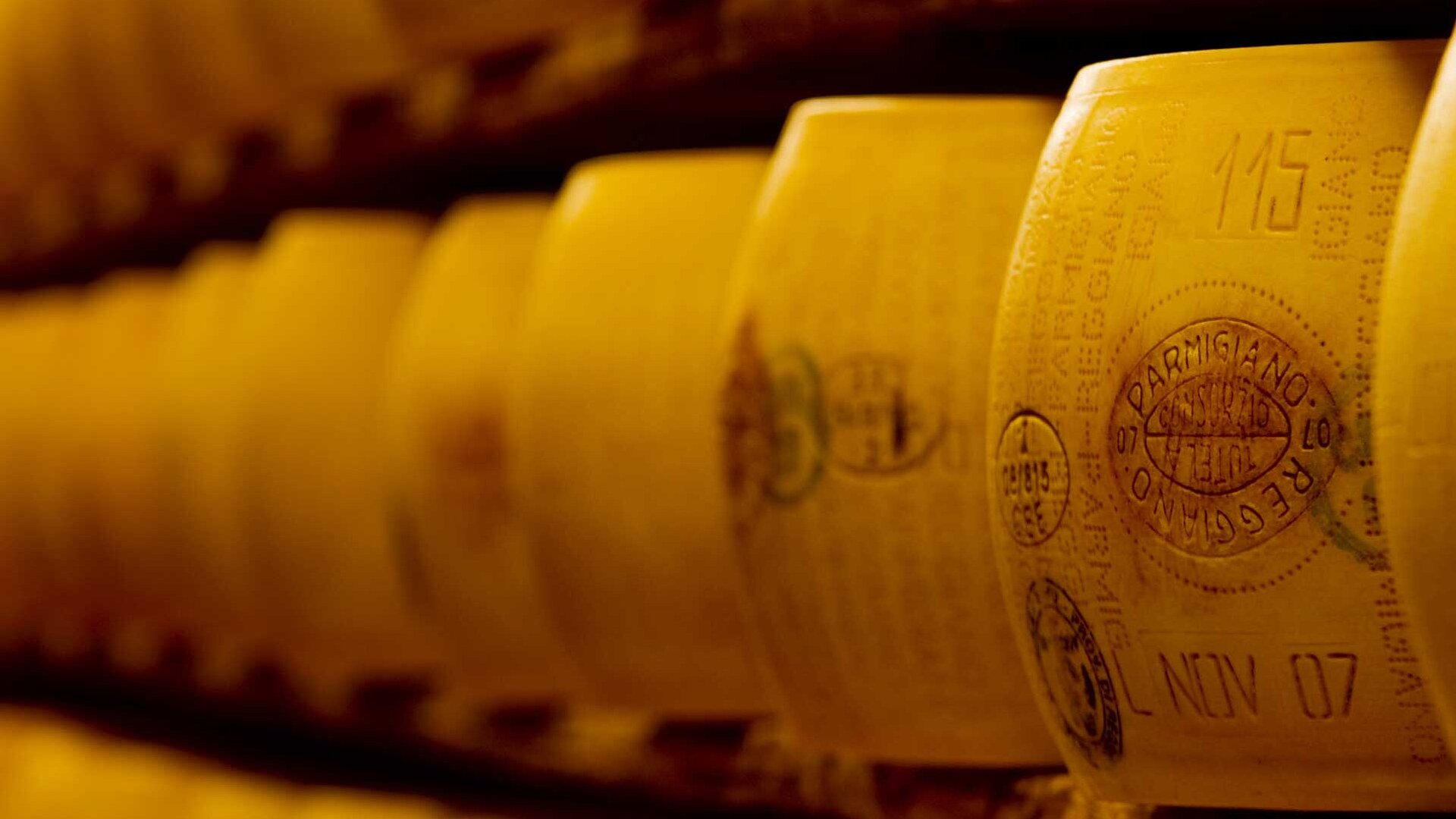 Parmesan cheese on aging shelves